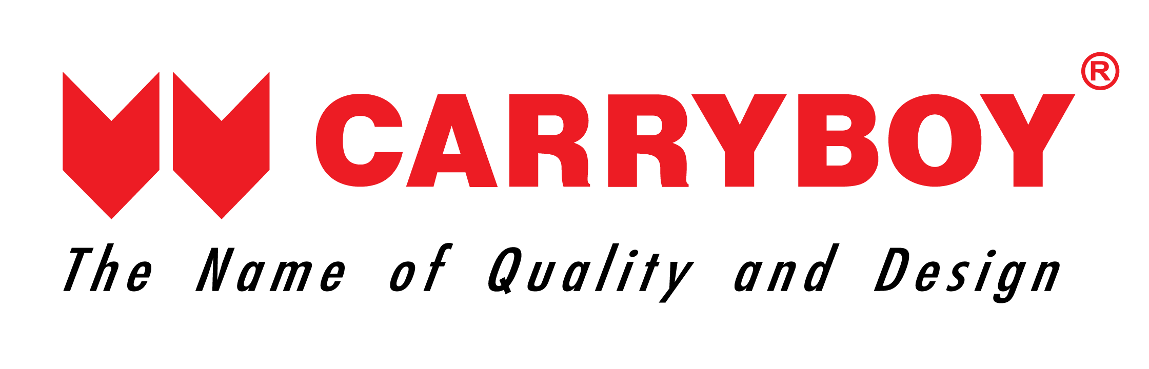 Carryboy